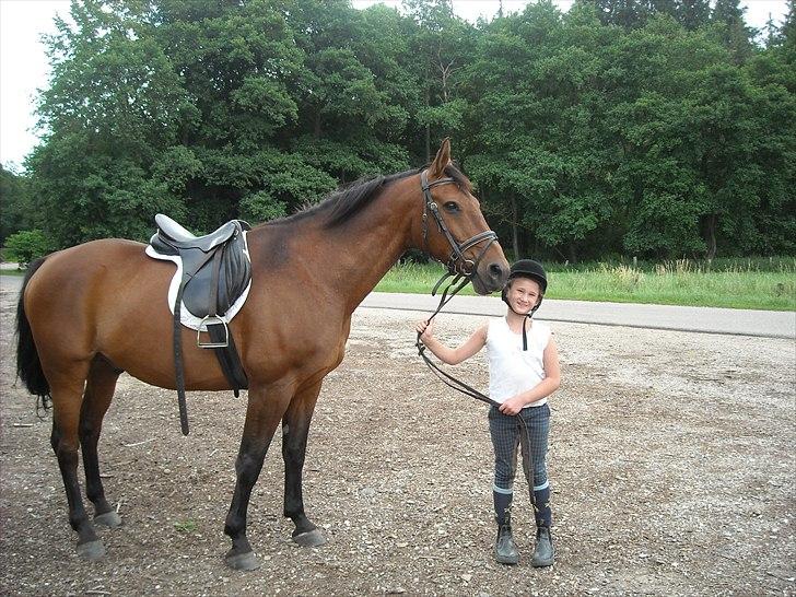 Dansk Varmblod Jackpot - Mig og Jackpot
Jeg var 8 år. billede 12