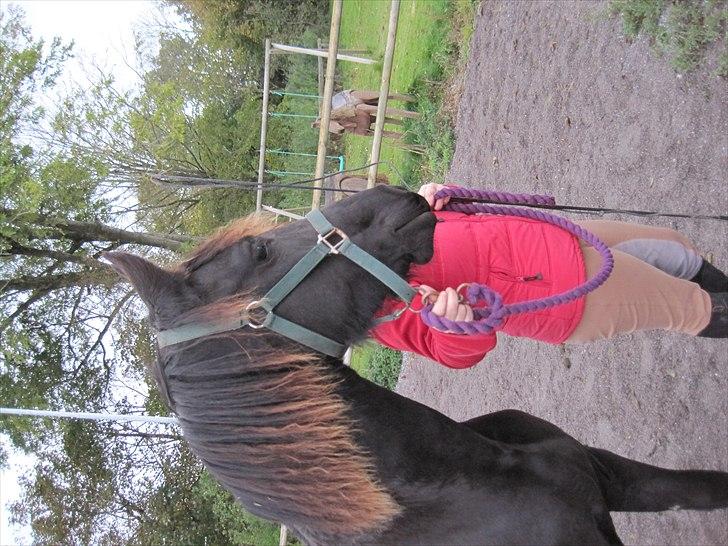 Frieser Filur Toustrup *SOLGT* billede 3