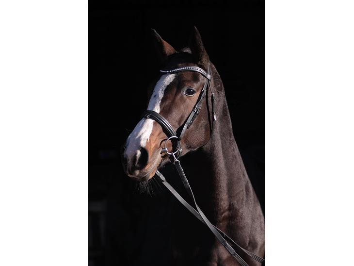 {{currentPhoto.altText}} billede {{currentPhoto.number}}