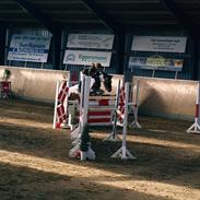 Anden særlig race Prins (B-pony) MY LIFE <3 R.I.P :'(