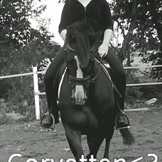 Anden særlig race Corvette* Har redet*