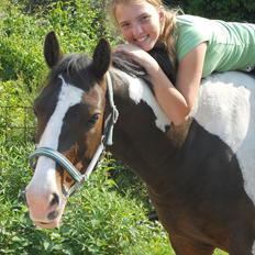 Anden særlig race Søndergårdens Negro