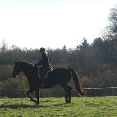 Holstener  Candis A.K.A Herta