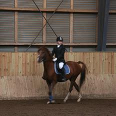 Anden særlig race Diablo (gammel part)