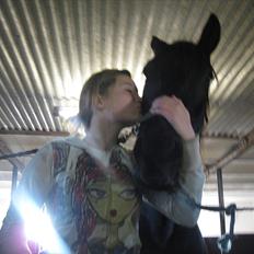 Dansk Varmblod Altere<3 Solgt d. 13-2-11