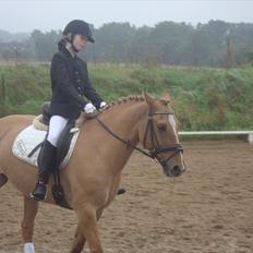 Anden særlig race <3 Rabondi <3 *SOLGT*