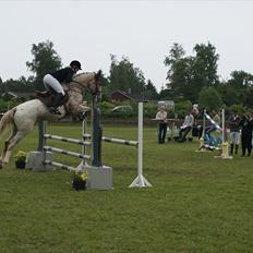 Anden særlig race Skonhøjs Murinho
