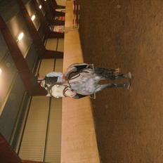 Anden særlig race Blue Bell :D<3