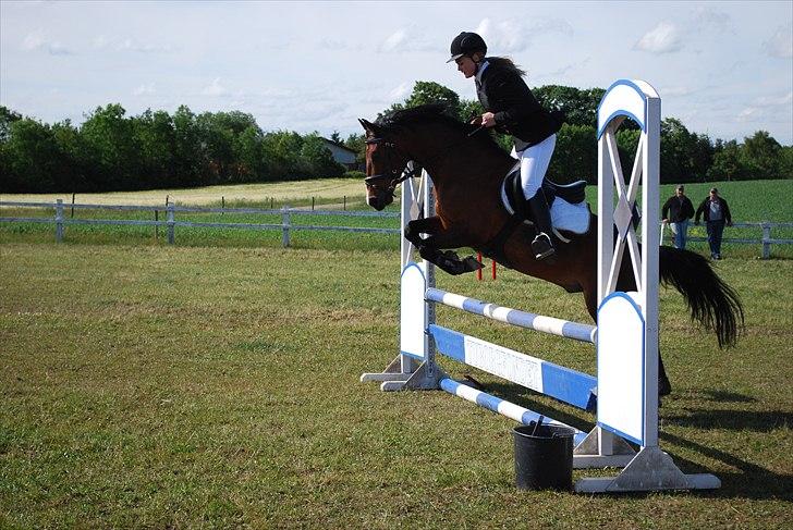 Hollandsk Sportspony Cupido <3 - rikke og pips i lind, de klarede det godt, men der var lige en mur i vejen for en nul-runde :/ <3 billede 2