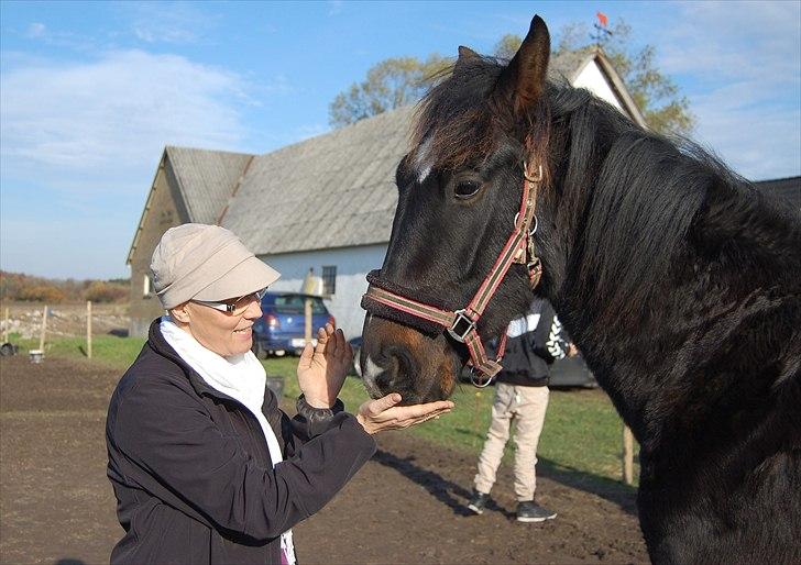 Oldenborg Okholms Armani II - Mor og Armani :-) Foto: Casper billede 4