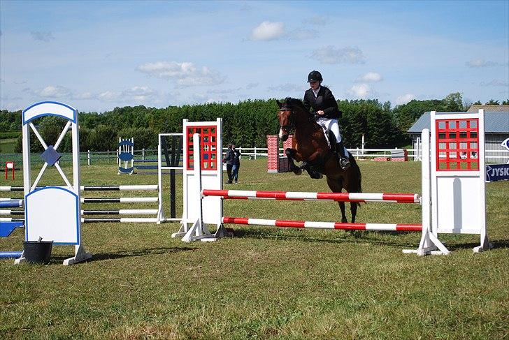 Hollandsk Sportspony Cupido <3 - stævne i lind. pips og rikke var super, men der var en ´interessant´ mur som vi lige skulle smide rytteren af på ;) <3 billede 6