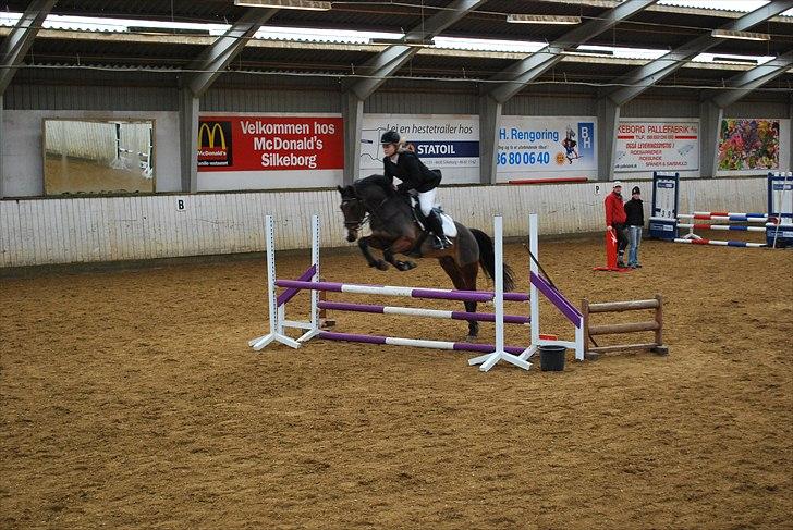 Hollandsk Sportspony Cupido <3 - finalen i sh- midicup 2009, omspr. søs og pips fik vist en bom, ell. noget :S men det gik ellers super for dem ;) <3 billede 8