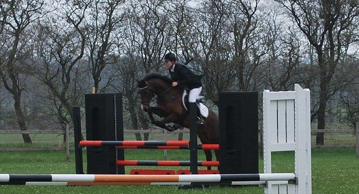 Hollandsk Sportspony Cupido <3 - stævne i løgstrup. rikke og cupido blev nr. 3! :D <3 billede 9