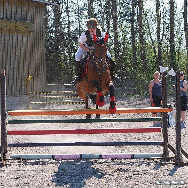 Holstener Pantene Pro-v [tidl. låner] [DØD] - SBGR påskestævne spring (; vores første LC B3 vi fik 4 fejl pga nedrivning. foto: elisabeth billede 14