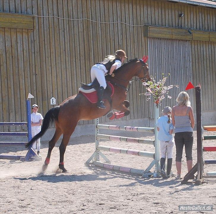 Holstener Pantene Pro-v [tidl. låner] [DØD] - SBGR påskestævne spring (; vores første LC B3 vi fik 4 fejl pga nedrivning. foto: elisabeth billede 12