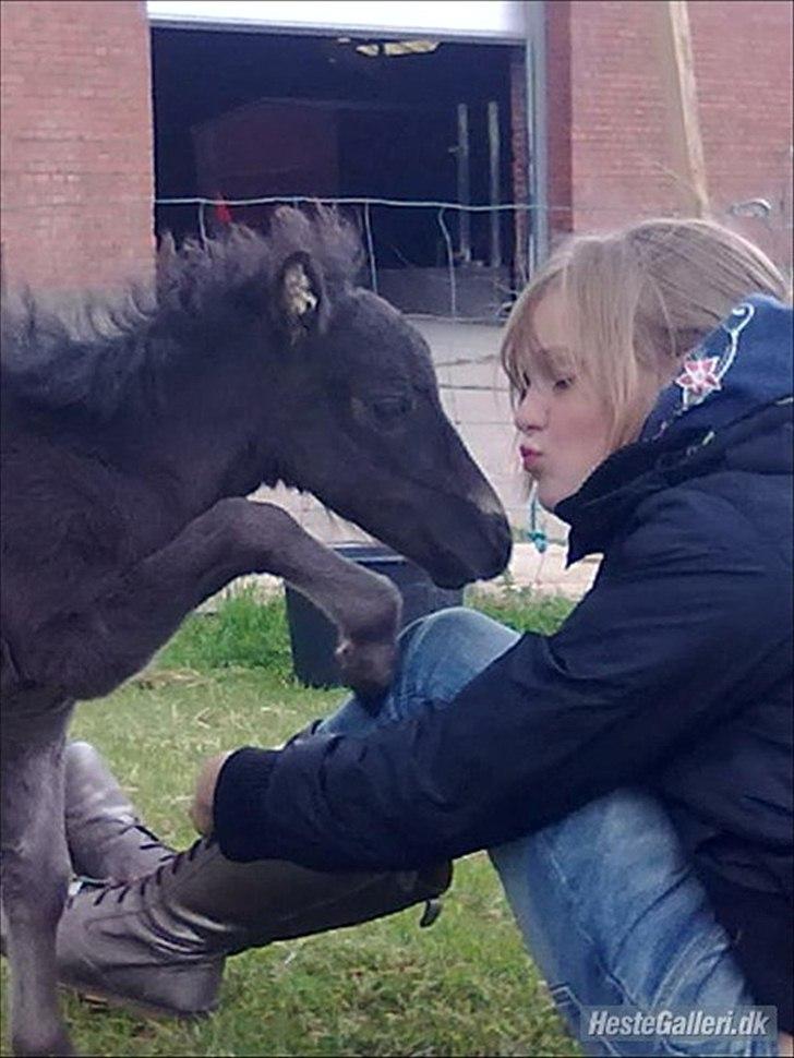 Anden særlig race Starlight - Starlight og Laura billede 4