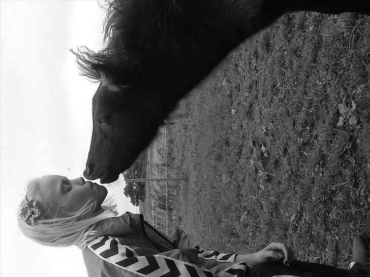 Anden særlig race Starlight billede 11