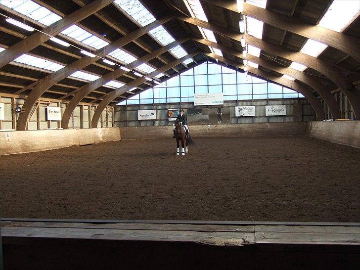 Oldenborg Jeppe af østerholm billede 18