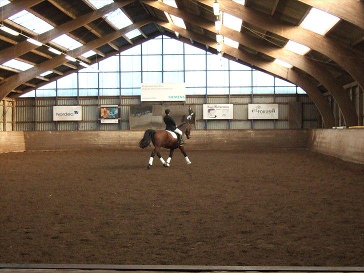 Oldenborg Jeppe af østerholm billede 19