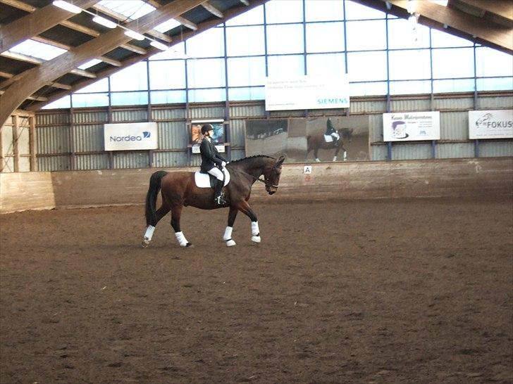 Oldenborg Jeppe af østerholm billede 20