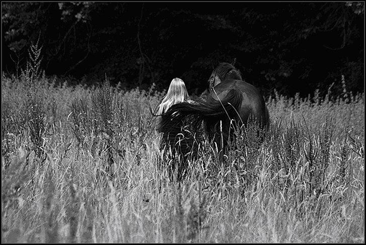 Trakehner *SOLGT* Tullamore HTPR billede 10