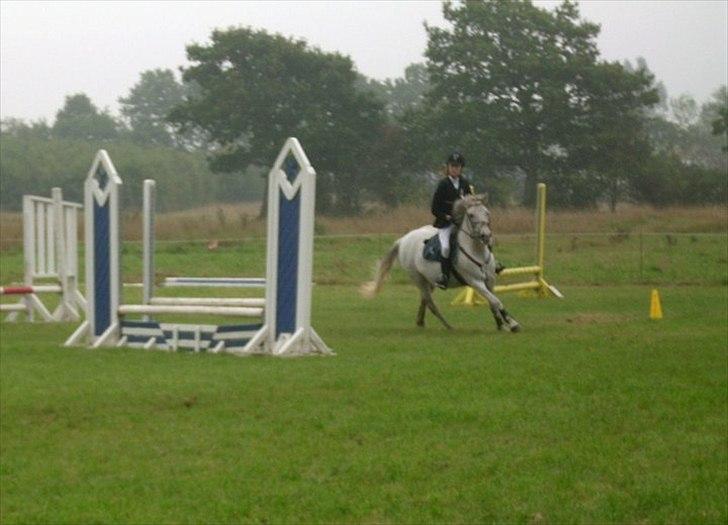 Anden særlig race Viggo - på Overmoselund i fulld gallop:D fik en anden plads(; 12/9-2010 billede 13