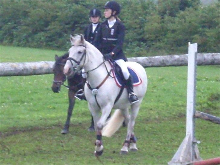 Anden særlig race Viggo - skridter af, og venter på næste klasse begynder, Tinglev Rideklub(: billede 15