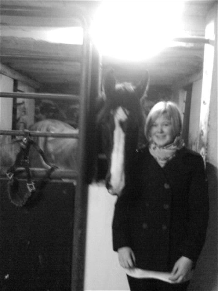 Anden særlig race Corvette* Har redet* - Corvette og jeg<3 billede 7