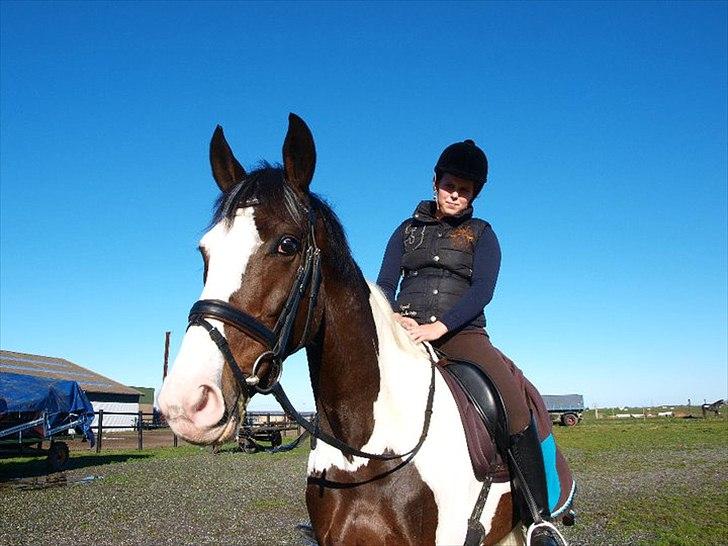 Pinto Hoelgaard´s Uriada M billede 6