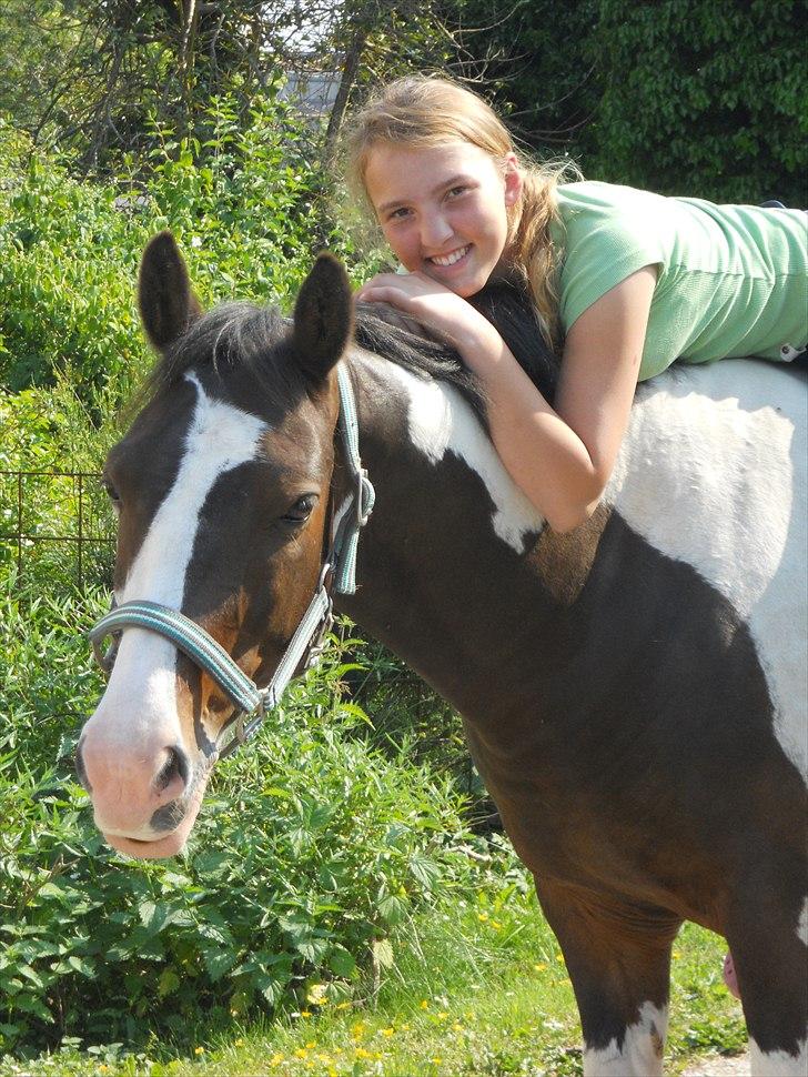 Anden særlig race Søndergårdens Negro - VELKOMMEN TIL NEGRO´S PROFIL billede 1