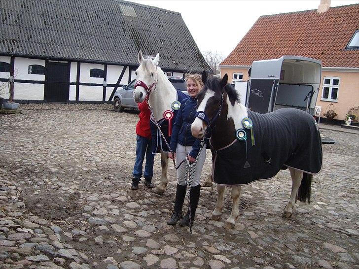 Anden særlig race Søndergårdens Negro - MED STOREBROR TIL STÆVNE ( : billede 4