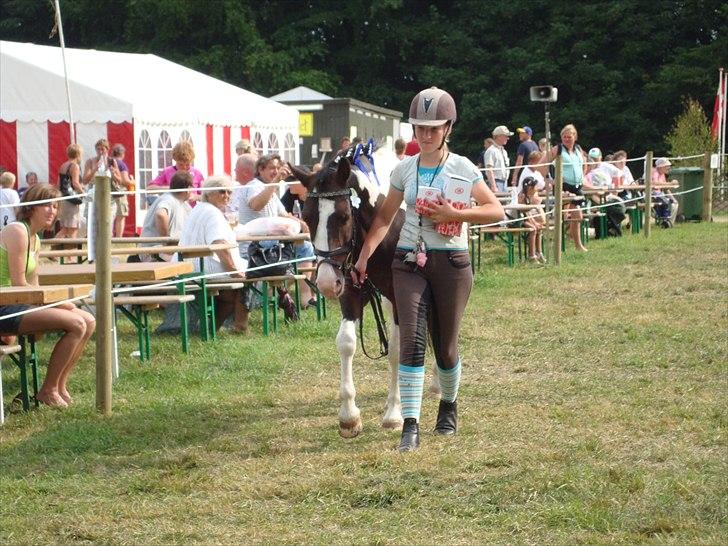 Anden særlig race Søndergårdens Negro - EN TRÆT PONY, DER SNART SKAL HJEM ( : billede 6