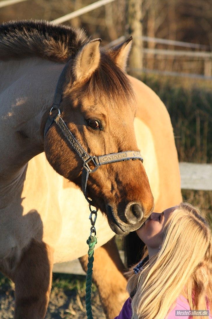 Anden særlig race | Alfons Åberg<3 *Part* - 19) Ude på banen, September 2010. Foto: Rikke D. Sørensen billede 19