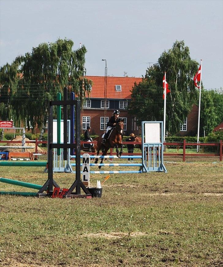 Hollandsk Sportspony Cupido <3 - mig og pido til ponyuge, her i LD. vi vandt! :) vores første stævne sammen. d. 31/7-10? <3 billede 15