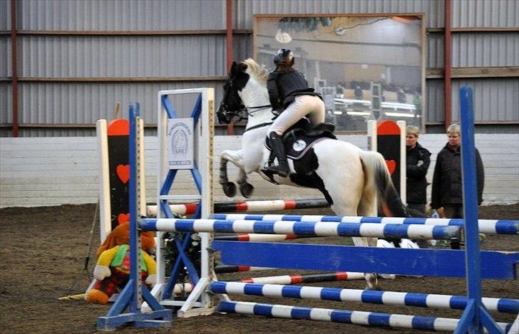 Hollandsk Sportspony Winnetou(SOLGT :D) billede 13