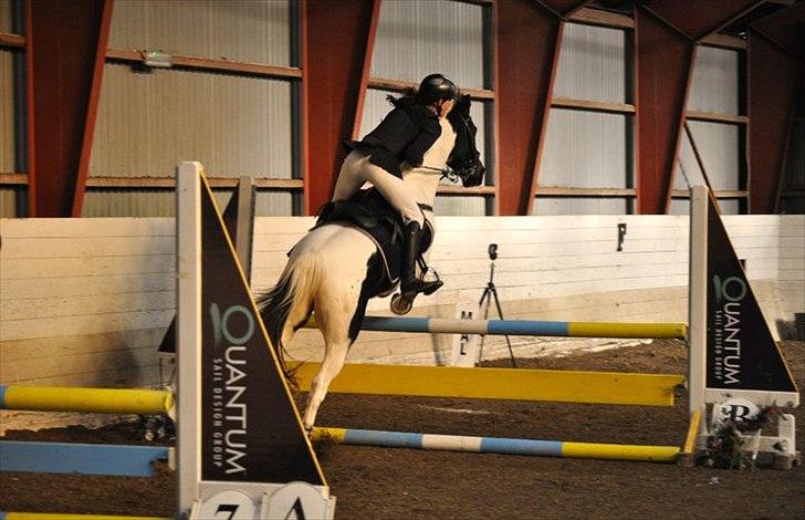 Hollandsk Sportspony Winnetou(SOLGT :D) billede 16