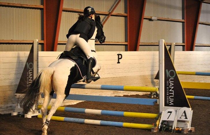 Hollandsk Sportspony Winnetou(SOLGT :D) billede 17