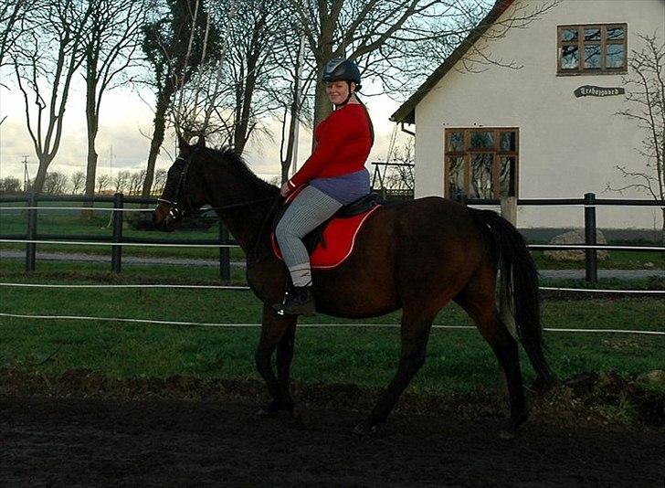 Fuldblod (XX) Zoomer † R.I.P † - 3 gang jeg rider hende <3 Foto: Kamilla Henriksen billede 8