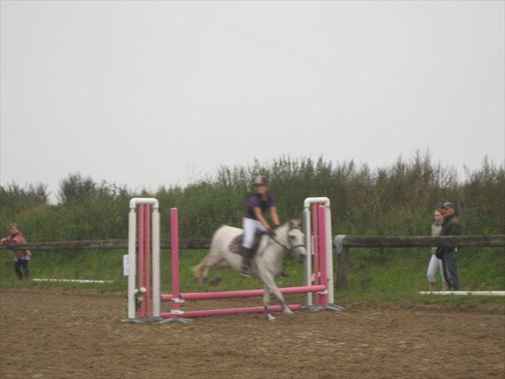 Anden særlig race Futte(part) - Futte og jeg til stævne bakkegården 11/9 2010 billede 13