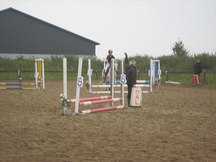 Anden særlig race Futte(part) - Futte og jeg til stævne bakkegården 11/9 2010 billede 14