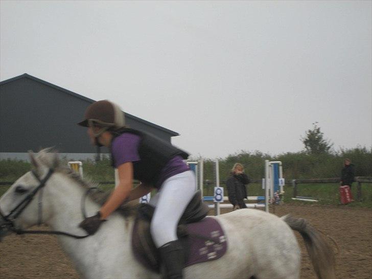 Anden særlig race Futte(part) - Futte og jeg til stævne bakkegården 11/9 2010 billede 15