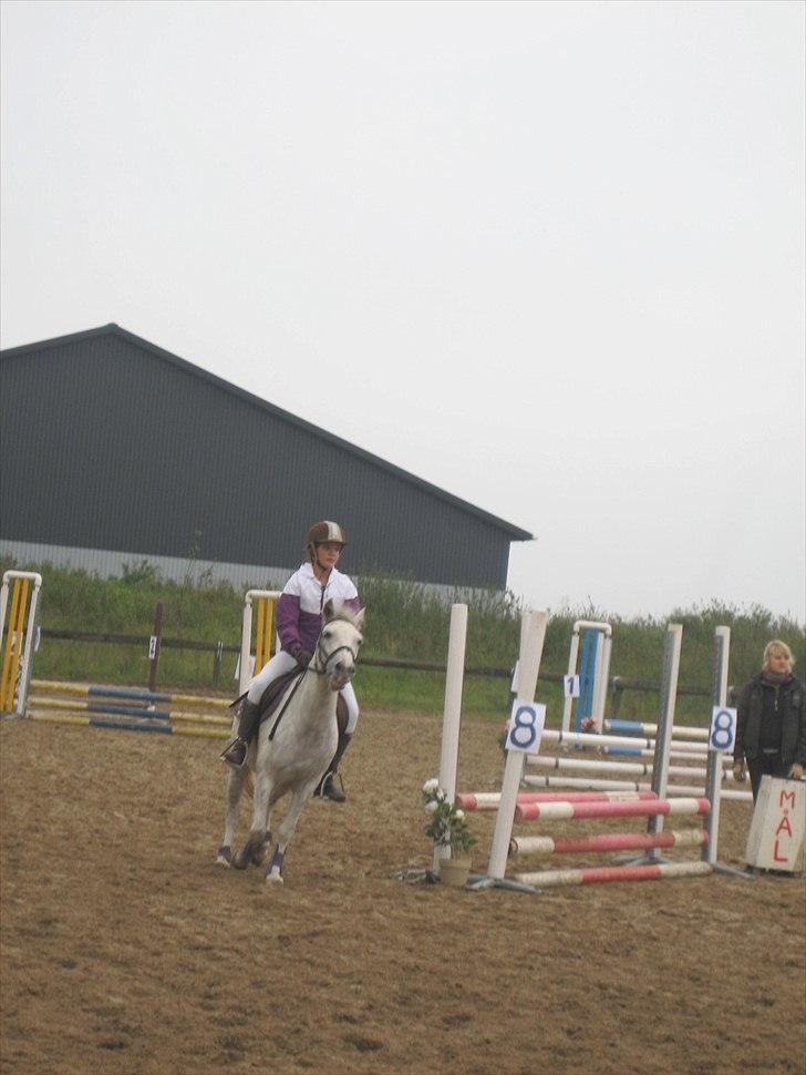 Anden særlig race Futte(part) - Futte og jeg til stævne bakkegården 11/9 2010 billede 16