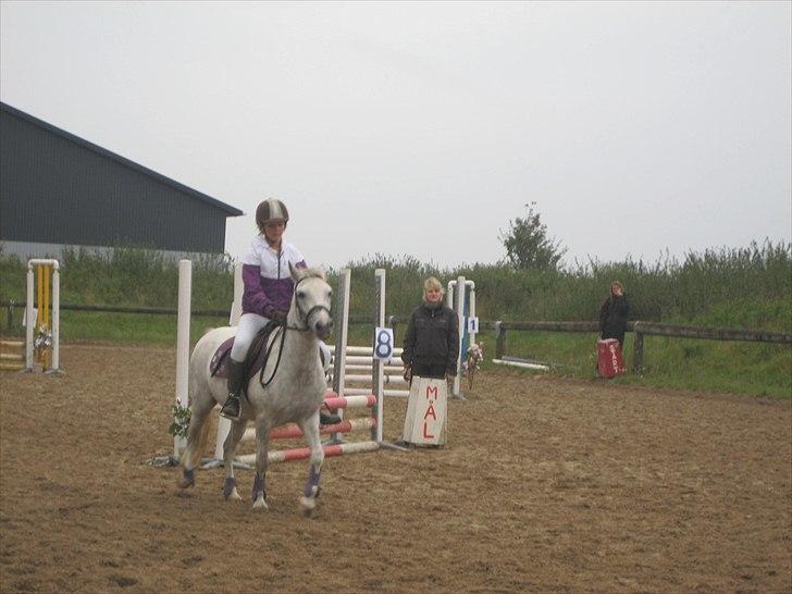 Anden særlig race Futte(part) - Futte og jeg til stævne bakkegården 11/9 2010 billede 17