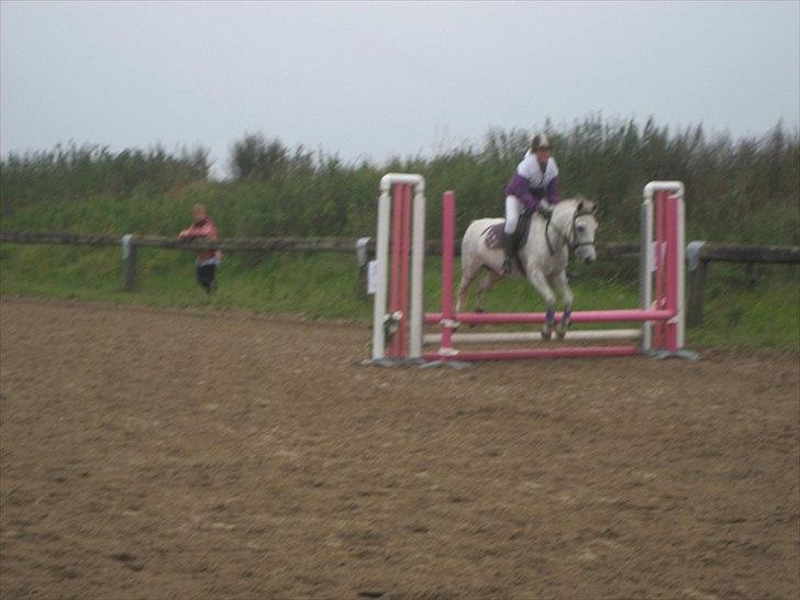 Anden særlig race Futte(part) - Futte og jeg til stævne bakkegården 11/9 2010 billede 18