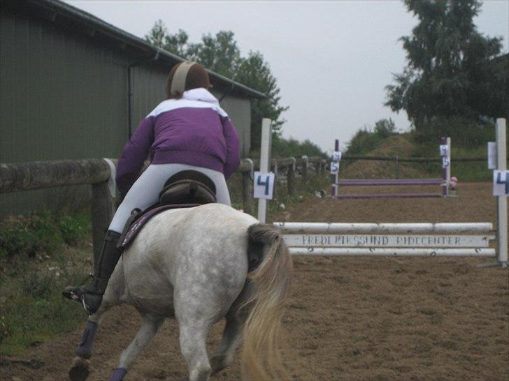 Anden særlig race Futte(part) - Futte og jeg til stævne bakkegården 11/9 2010 billede 19