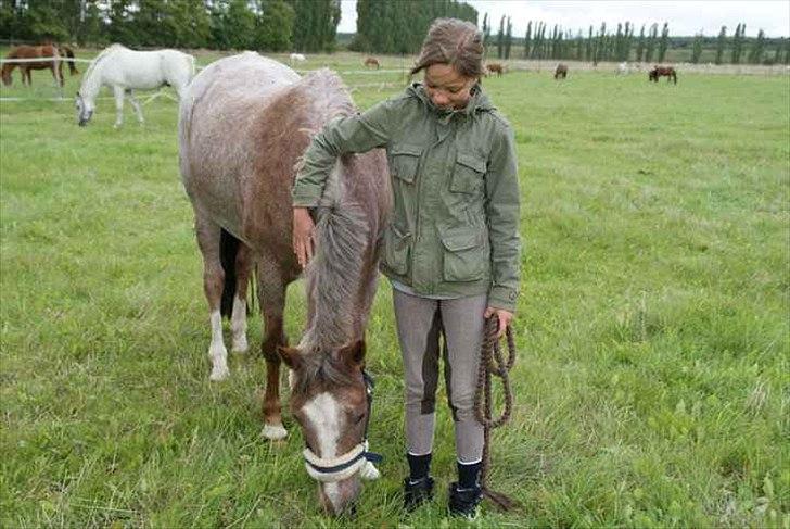 Anden særlig race Snowie - hygge på folden, sommer 2010 <3 billede 15