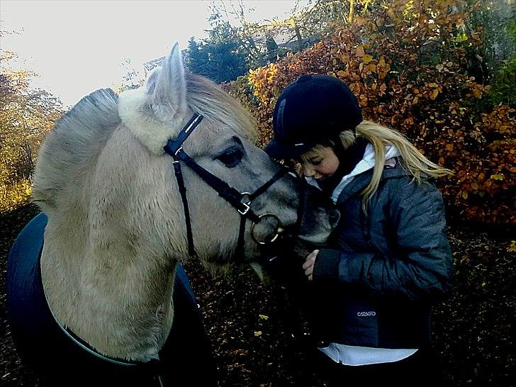 Fjordhest |Ryttergårdens Josephine| - Vinter 2010. 08-11-2010. Trine og Josephine, jeg elsker dig pony (´: billede 11