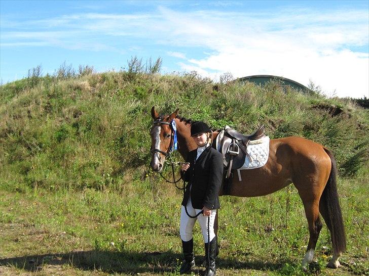 Dansk Varmblod Lyngdalgårds Studina - Vi fik 2. pladsen til Studina´s første stævne, i LC3 med 67,92 % billede 6