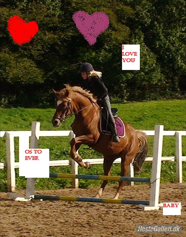 Hollandsk Sportspony Charon R.I.P :`( savnet - det har line også lavet og det er hun dygtig til  billede 11