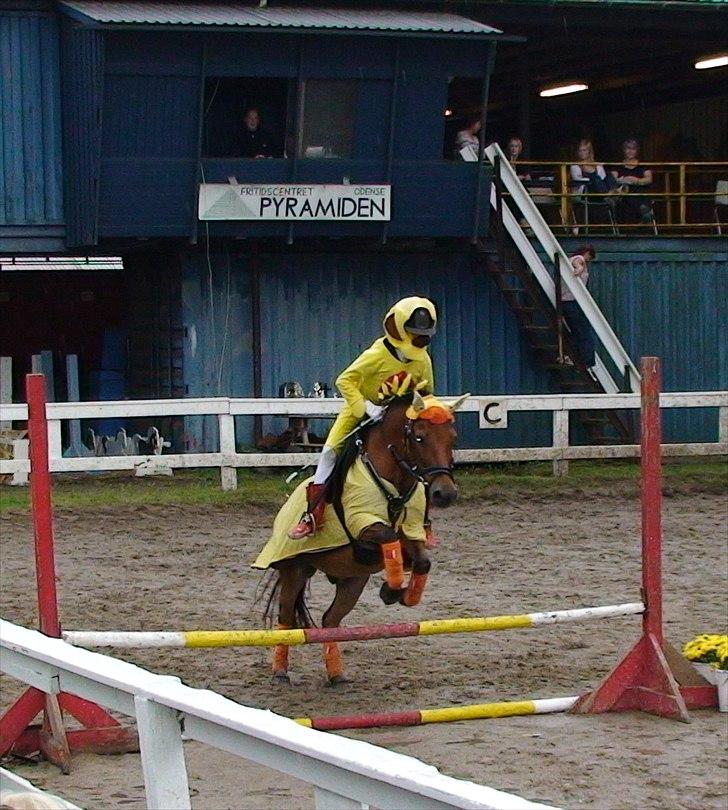 Anden særlig race Buster Larsen <3solgt :.- - kustyme spring fik ingen placeren :( billede 6